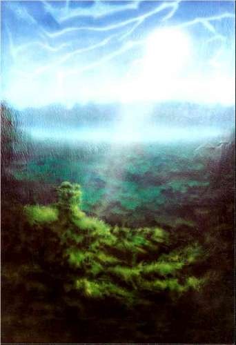 fracturedsky170x240cmacryliconcanvas2000.jpg