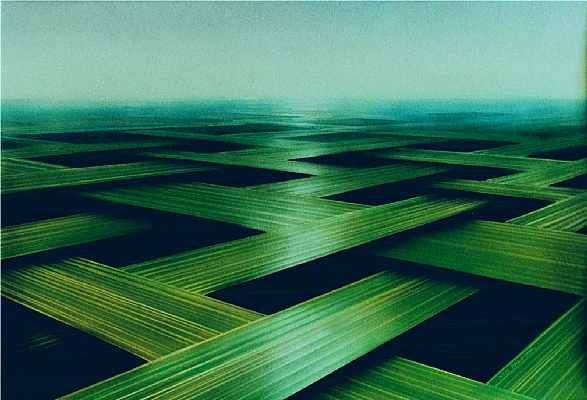 89 Green Interlace