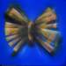 smallmoth30x30cmacryliconcanvas_small.jpg